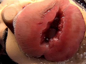 トリプル口臭・痰唾・痰壺・超絶激臭・究極体液摂取飲尿レズ　サンプル画像03